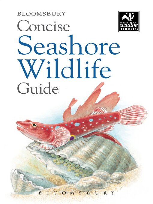 Title details for Concise Seashore Wildlife Guide by Bloomsbury - Available